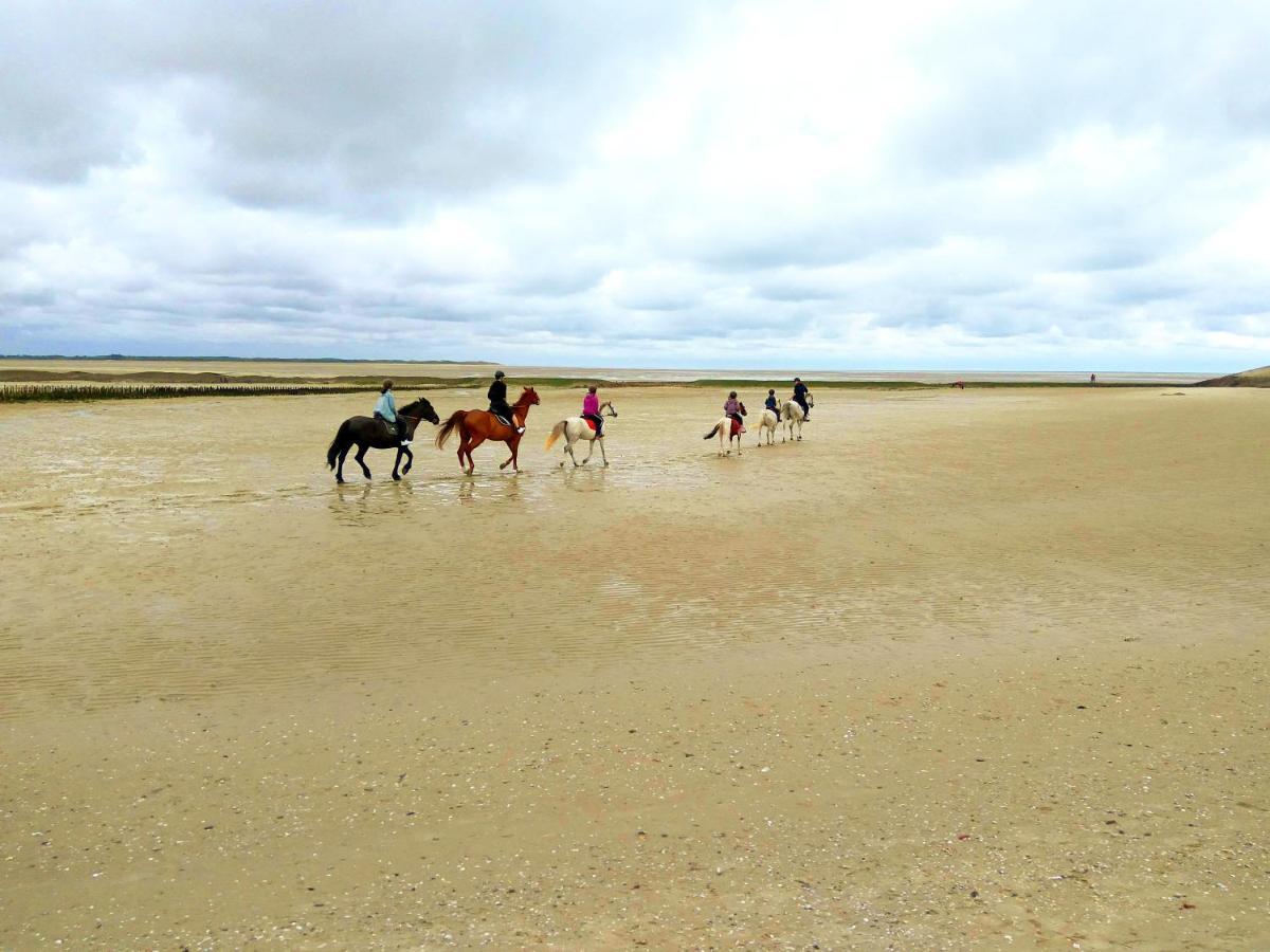 Maison Proche Des Immenses Plages De Berck Sur Mer A 1,8Km Des Plages Eksteriør billede